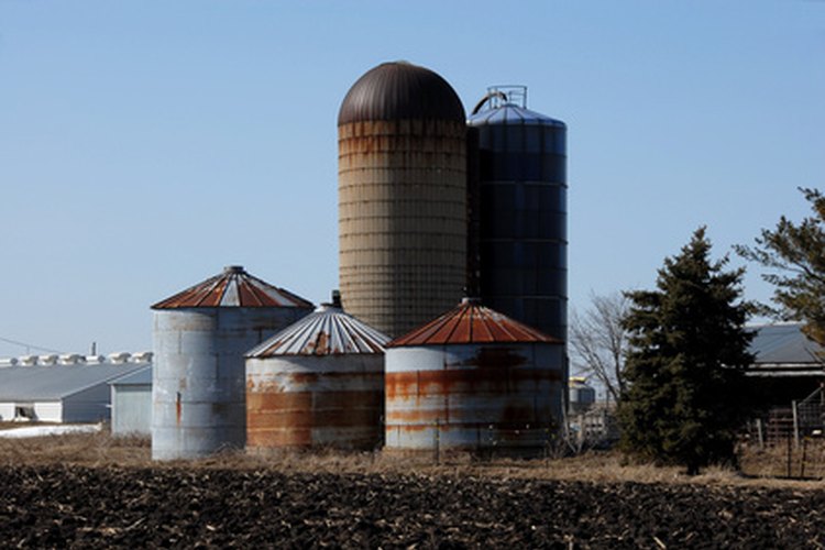 Los cestos y silos son utilizados para almacenar el trigo antes de ser enviado a distintas locaciones.