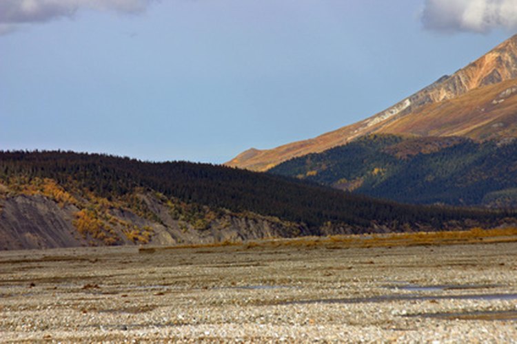 Vista común de la tundra ártica.