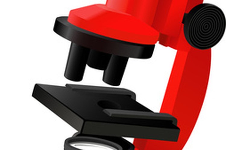 Microscopio.