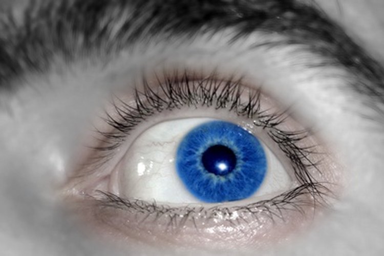 Los movimientos de los ojos pueden indicar cuándo una persona está mintiendo.