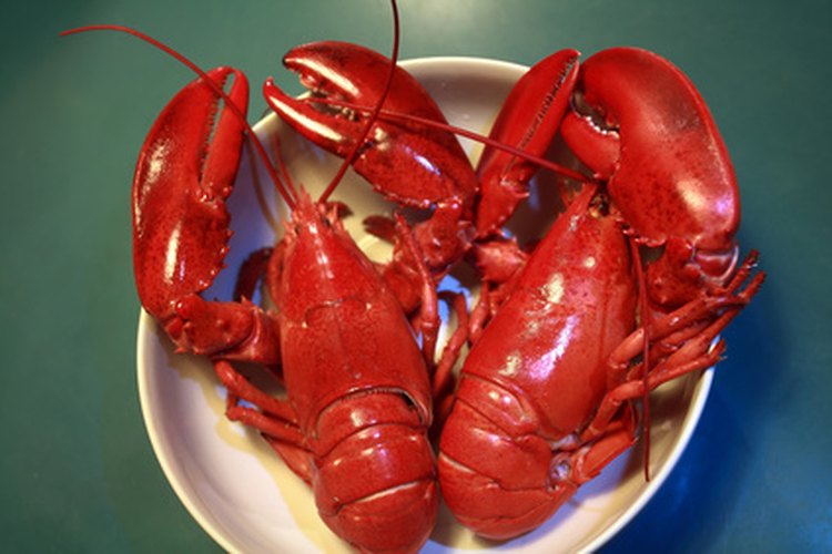FedEx enviará mariscos como langostas vivas.