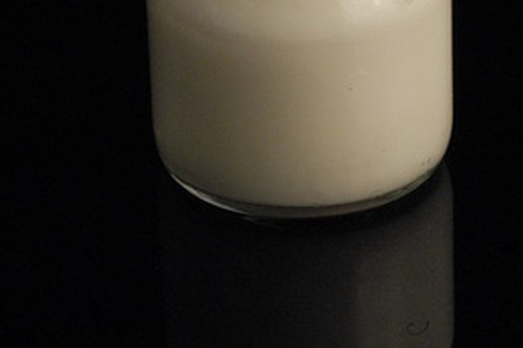 Bacteria del yogur.