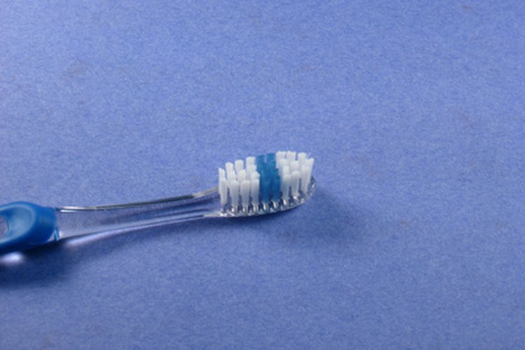 Realiza seminarios gratuitos y demostraciones que enseñen a los asistentes la importancia de la salud dental.