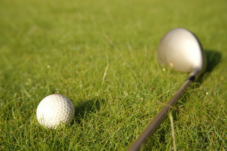 Los campos de golf públicos de Palm Springs son ideales para los amantes del golf.