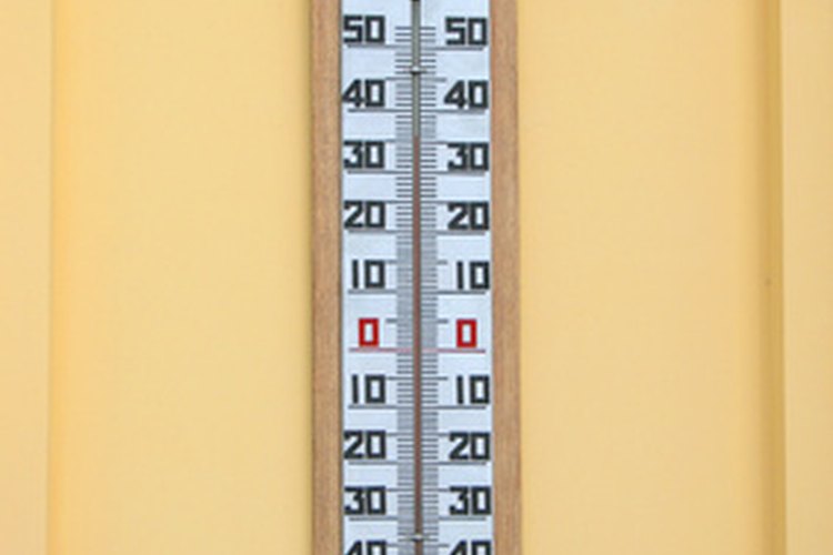 Coloca un termómetro cerca de la planta para ver la temperatura del aire.