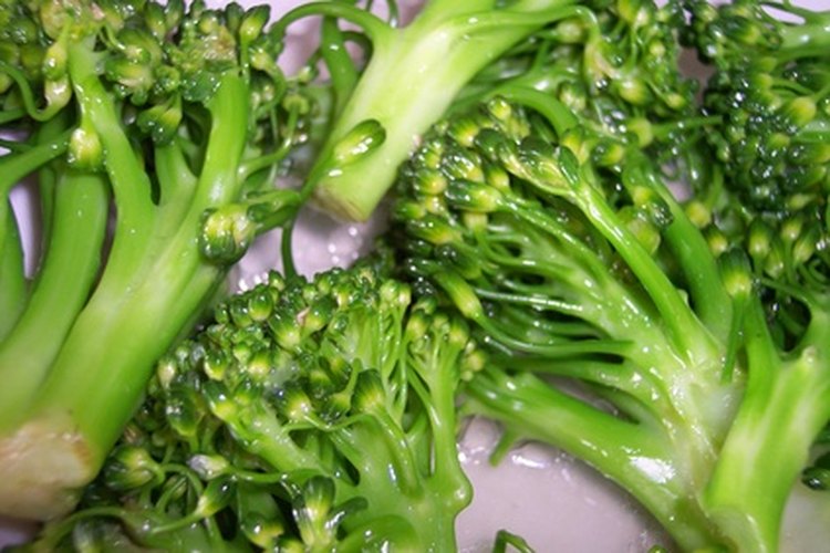Las verduras benefician a los perros también.