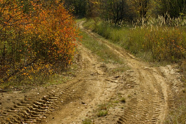 Las actividades recreativas humanas como el off-road y las cabalgatas han segmentado aún más la región de los pinos albany, dejando a las mariposas karner con muy poco de su hábitat natural.