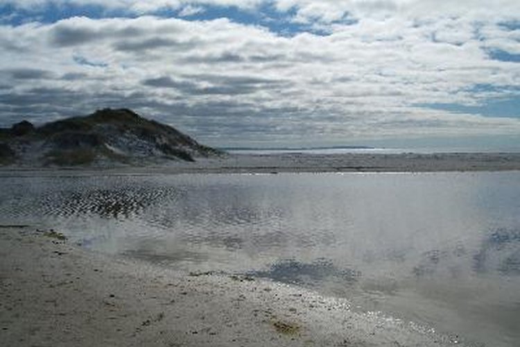 Playa de Nueva Zelanda.