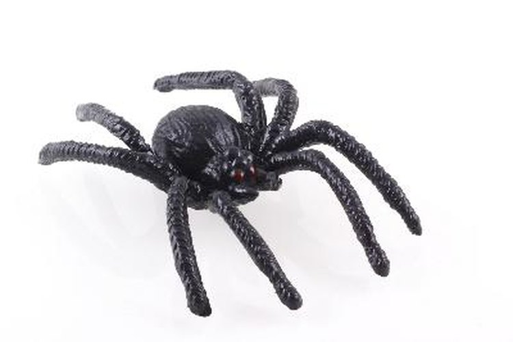 Una araña ecológica de halloween para adornar tu jardín.