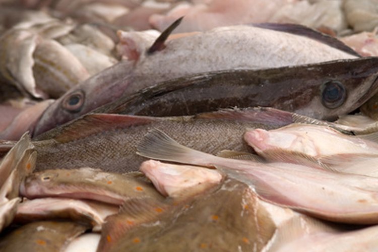 Una amplia variedad de pescado está disponible en un número de diferentes cortes.
