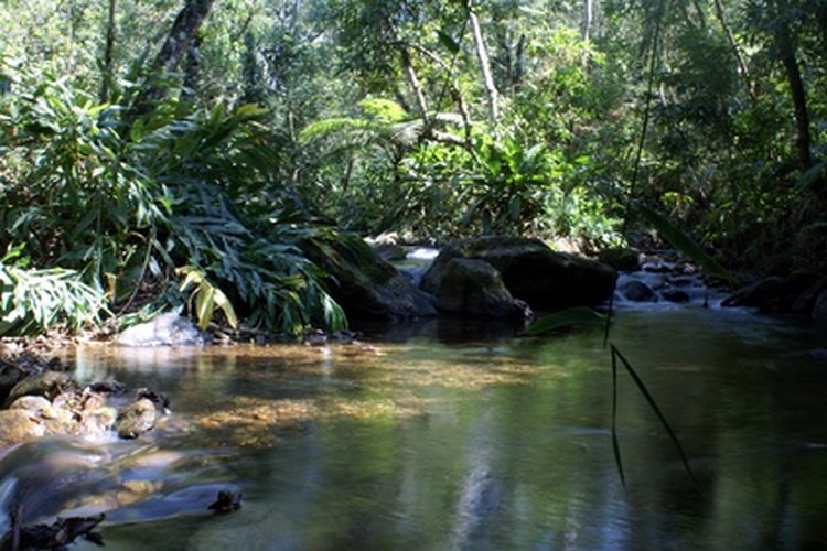 Río.