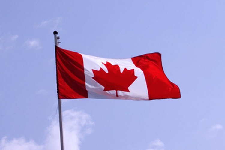 Los alimentos básicos de Canadá incluyen el trigo y los lácteos.