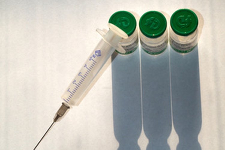 La vacuna combinada, DHLPPC, ayuda a proteger a los perros de muchas infecciones y enfermedades.