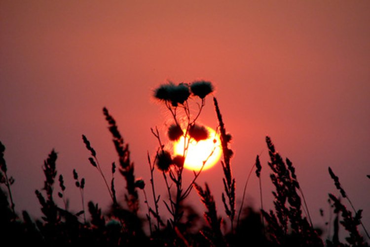 En el solsticio de verano, o solsticio estival, se celebra el día más largo del año.