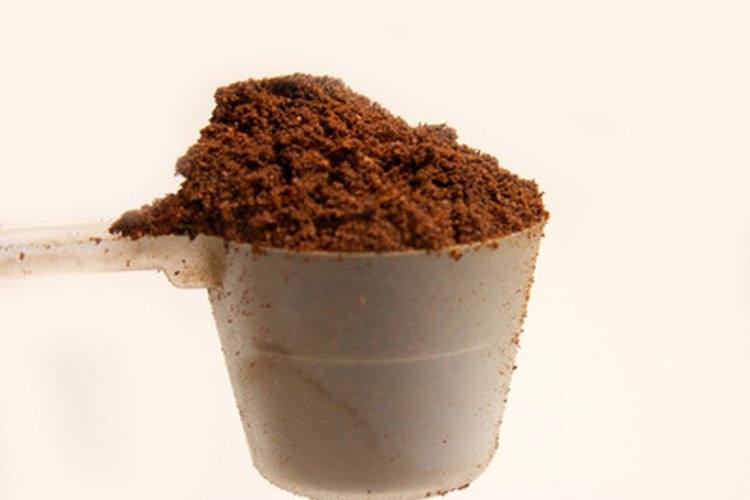 Polvo de cacao.