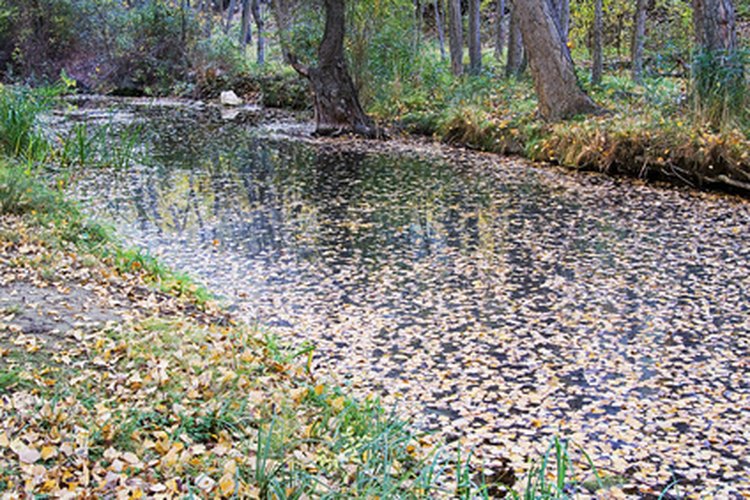 Los ríos contaminados con bolsas de plástico no sólo afectan a la fauna del lugar, sino que además afectan al paisaje.