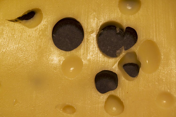 El queso no es un alimento bajo en calorías.