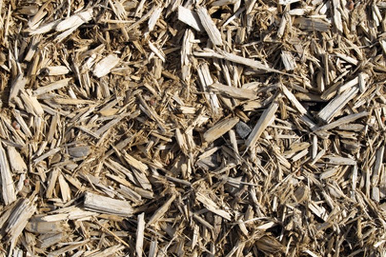 Residuos de la madera.