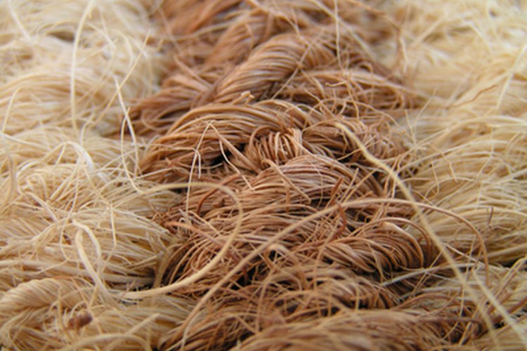 La fibra de un cabello o de una prenda dejada es llamada prueba de rastreo.