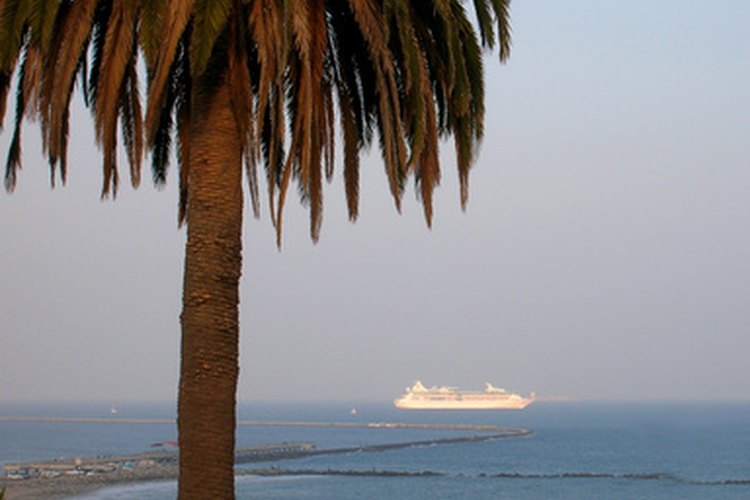 Disfruta un crucero para adultos.