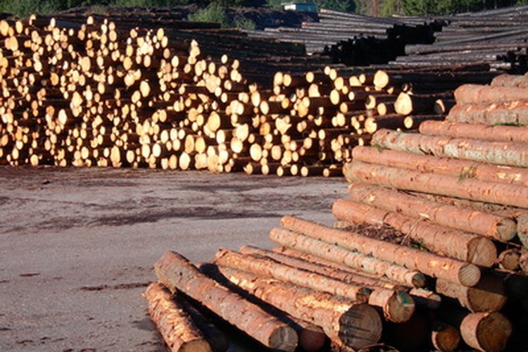 La madera pasa por un proceso de aserrado y químico para producir pulpa.