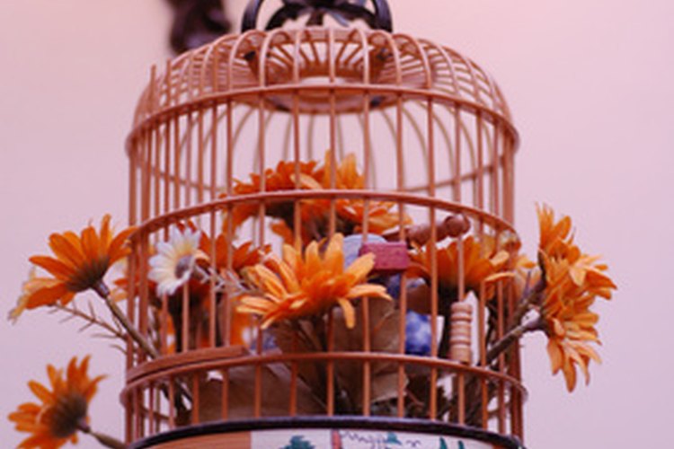 Las flores ornamentales constituyen un excelente elemento decorativo.