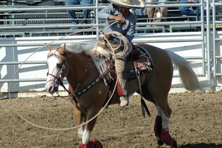 Presentes hoy en los rodeos, los vaqueros mexicanos tienen una historia más profunda que dar entretenimiento.