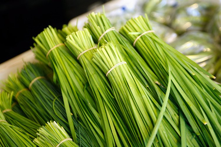 El cebollino chino es común en las recetas asiáticas.