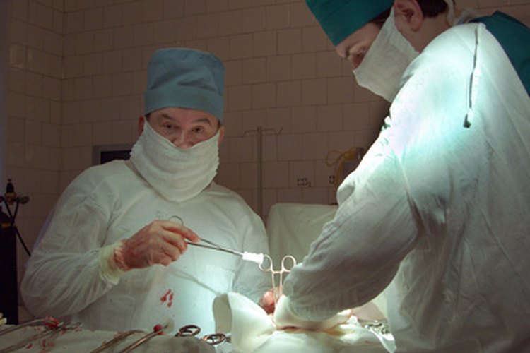 La mayoría de las cirugías de castración no se complican por infecciones.