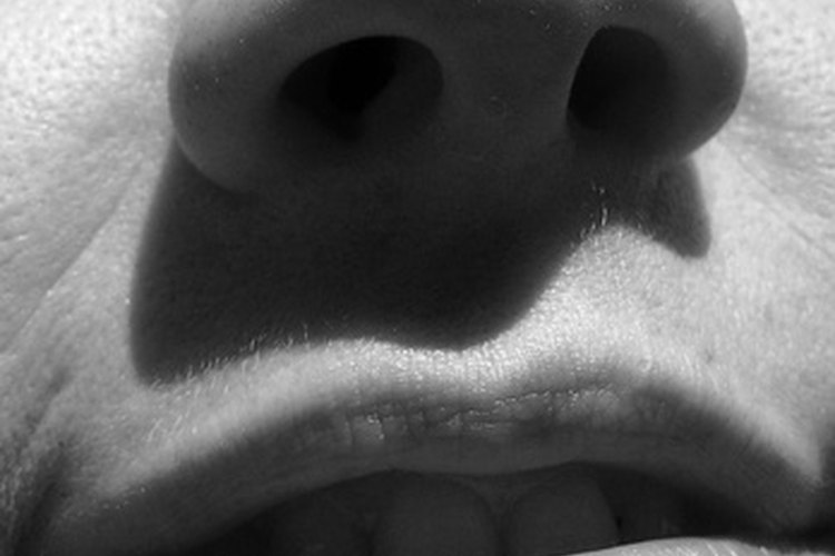 La adaptación al olor filtra los aromas excesivos.