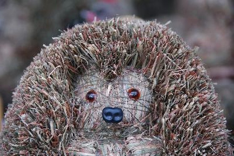 Los erizos son hermosas mascotas.