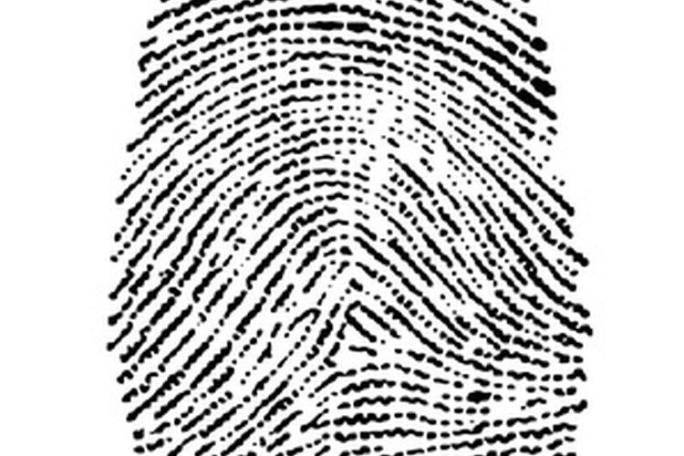 Las huellas digitales son más difíciles de crackear que las contraseñas de texto.