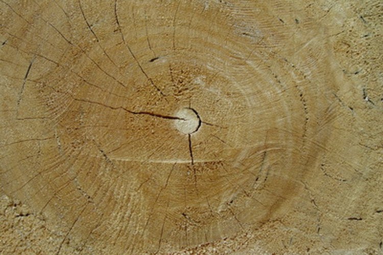 Madera de mora.