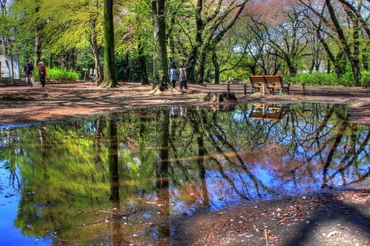 Agua subterránea filtrándose a un cuerpo de agua superficial.