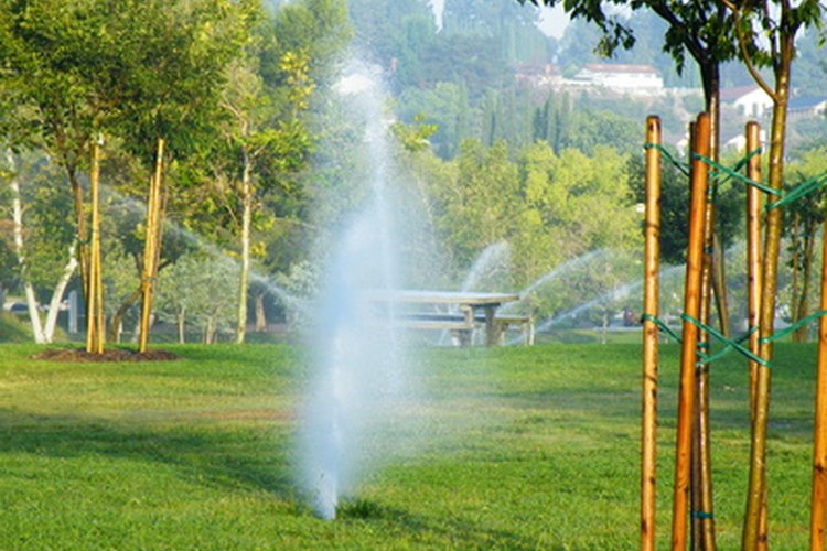 El caño negro de polietileno comúnmente se utiliza para el abastecimiento de agua de riego subterráneo.