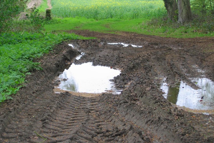 Un pozo seco puede evitar que tu jardín se convierta en barro.