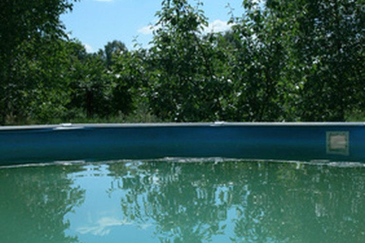 Piscina con algas.