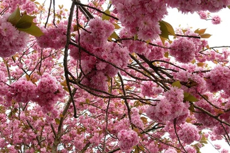 Disfruta del aire libre durante tus vacaciones de primavera.