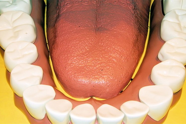 Los niños necesitan aprender desde el principio que el cuidado dental es muy importante.