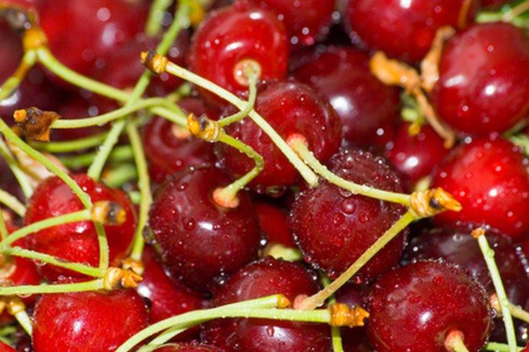 El Kirsch proviene del jugo y los huesos de la cereza destilados.