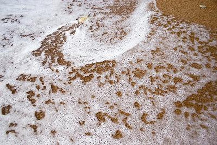 El aceite de silicona también se utiliza para evitar demasiada espuma durante la fermentación de la cerveza.