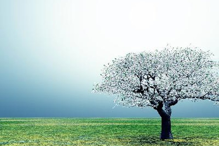 Protege el árbol con tela de alambre.
