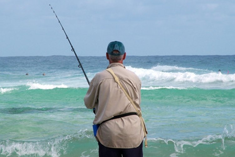 Con la correcta caña, la pesca desde la costa puede ser gratificante.