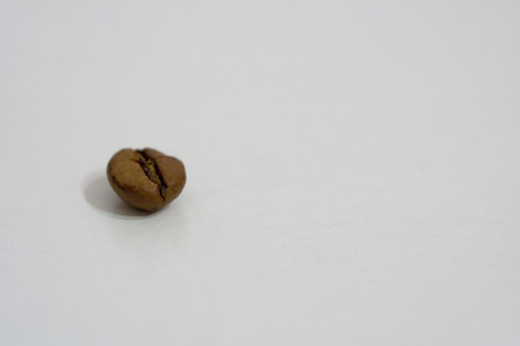 Recoge tus propios granos de café.