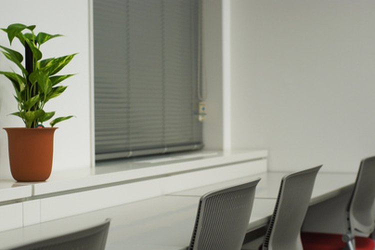 Ciertas plantas pueden crecer sin ningún problema en áreas de la oficina con poca iluminación.