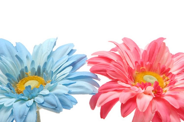 Deja flores rosas y celestes.