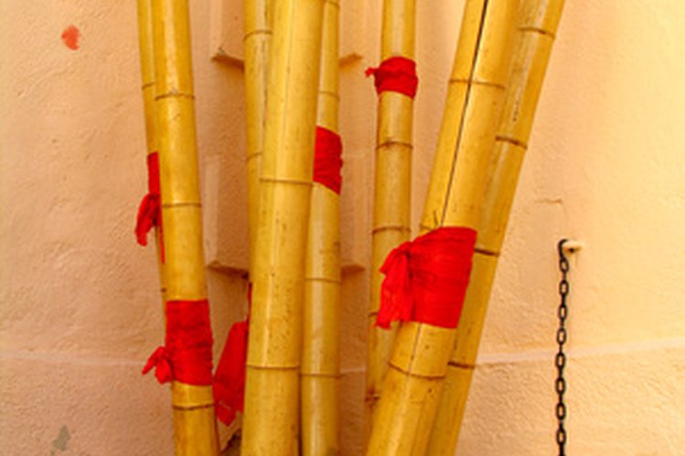 Bambú.