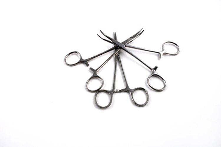 Las pinzas hemostáticas son herramientas útiles para remover el pelo de los oídos de un bichon frise.
