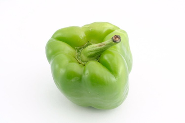 Una pequeña cantidad de nicotina puede encontrarse en las hojas de la planta del pimiento verde.