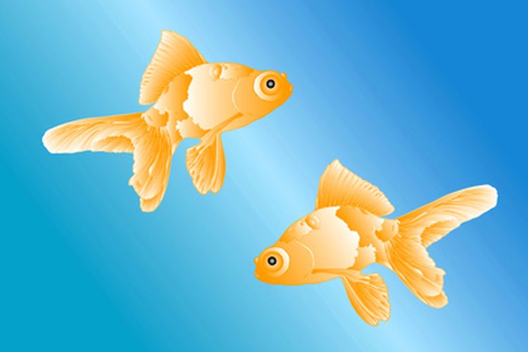 El símbolo de Piscis son los peces y está regido por el planeta Neptuno.